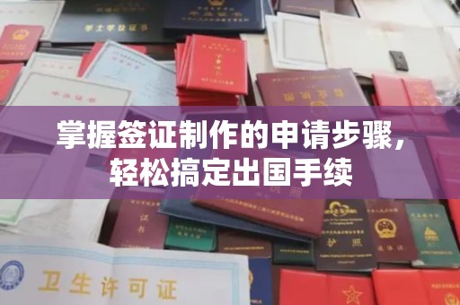 秀洲掌握签证制作的申请步骤，轻松搞定出国手续